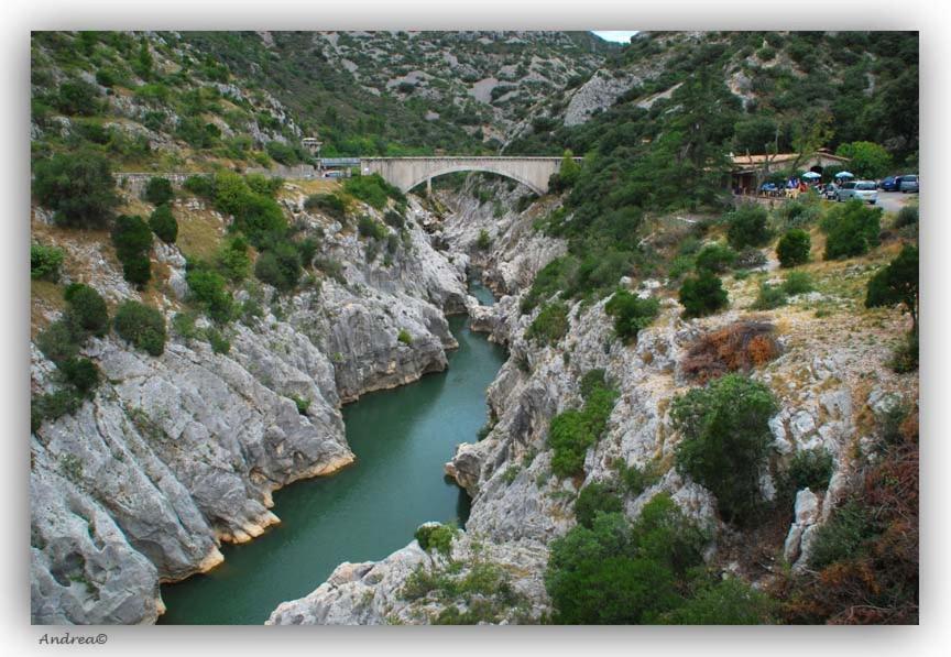 Magnifique Villa Typique Du Sud Avec Piscine Privee Et Jardin Mediterraneen Saint-Vincent-de-Barbeyrargues Extérieur photo