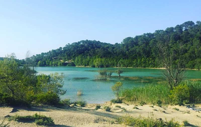 Magnifique Villa Typique Du Sud Avec Piscine Privee Et Jardin Mediterraneen Saint-Vincent-de-Barbeyrargues Extérieur photo